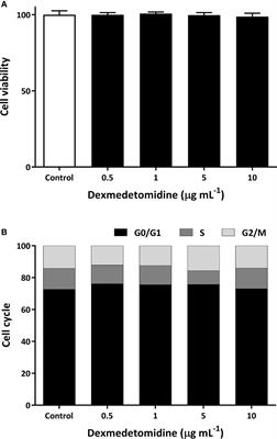 Immunomodulatory Effects of Perioperative Dexmedetomidine in Ovarian Cancer: An In Vitro and Xenograft Mouse Model Study